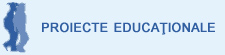 Proiecte 
educationale